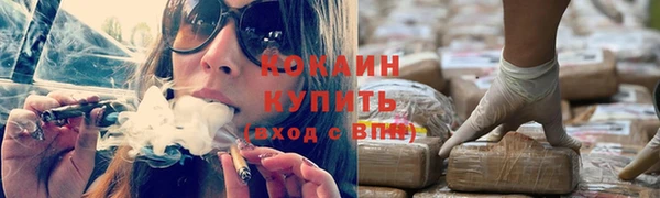 apvp Белокуриха