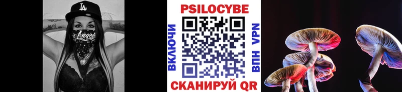 Псилоцибиновые грибы Psilocybine cubensis  купить наркотики сайты  Кыштым 